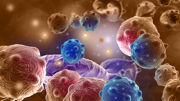 肝母细胞瘤容易治吗 三个方法助你治疗肝母细胞瘤