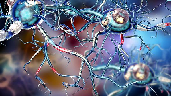 eb病毒dna<4.00e+02正常吗