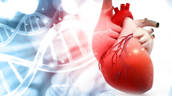 急性心包炎能康复吗 坚持三个康复训练让心脏慢慢变好