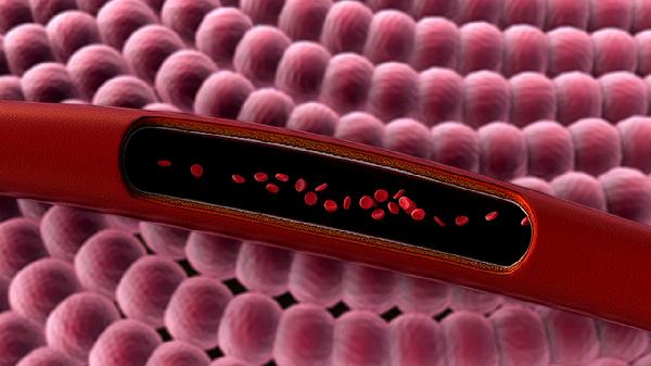 鼻病毒容易发生再次感染吗