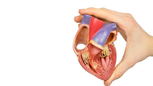 器官移植不成功的主要原因