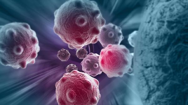 传染性单核细胞增多症的易感人群