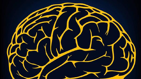 右脑一阵阵抽筋一样痛怎么回事