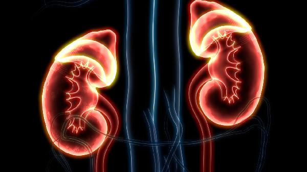 肾炎吃激素期间可以要孩子吗