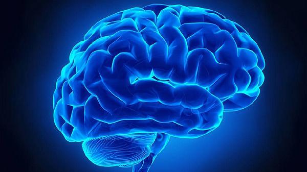 婴儿正常打挺和脑瘫打挺有什么区别