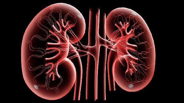腎衰竭如何治好 四個(gè)療法延緩腎衰竭