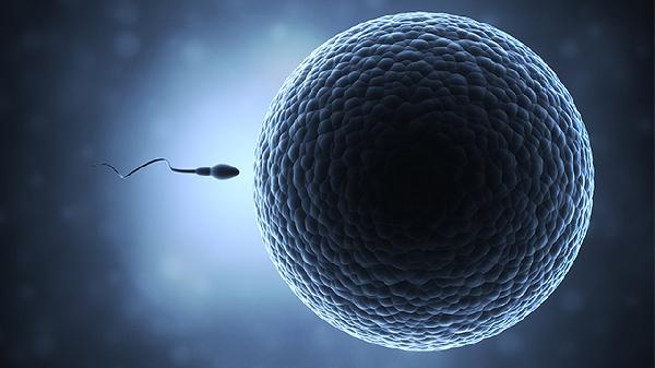 精子通道被堵截是怎么回事