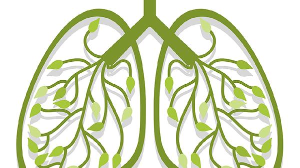 双肺多发条索灶是什么意思