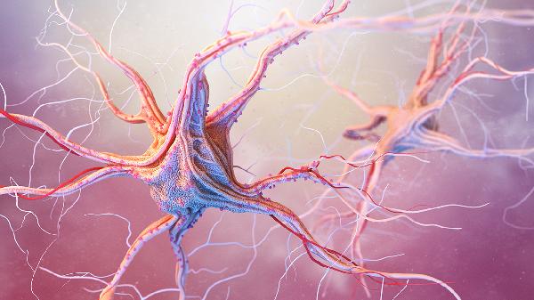 视神经萎缩的症状及治疗方法