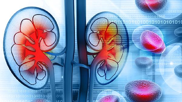 脊髓灰质炎病毒是DNA还是RNA