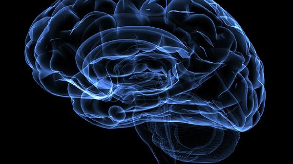 癡呆癥是不是小腦萎縮 癡呆癥和小腦萎縮有何區(qū)別