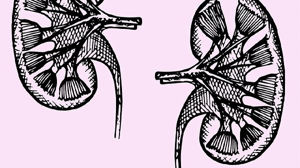 cd19偏低是不是提示肿瘤