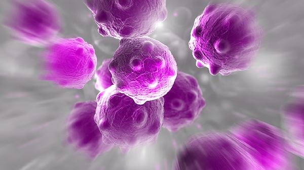 白脓细胞5-15%是什么意思