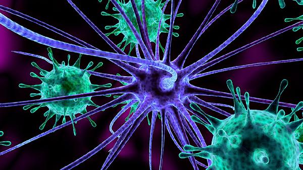 白脓细胞5-15%是什么意思