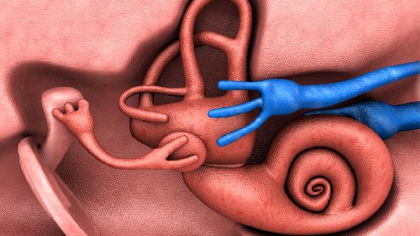 小耳畸形如何进行听力重建