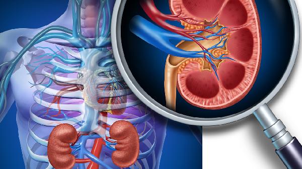 腎衰竭做哪些檢查  揭秘腎衰竭的4個(gè)常規(guī)檢查方法