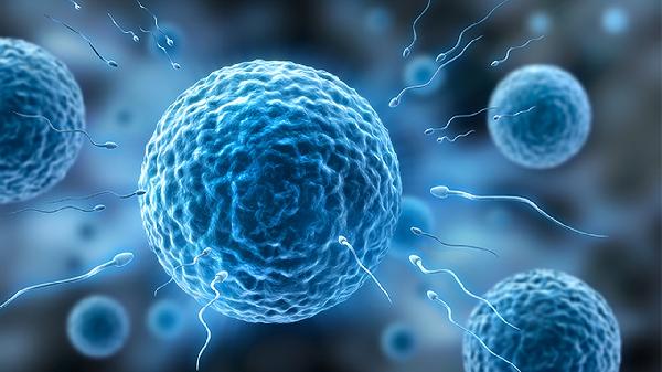 男子精子活力低能要孩子吗 7招提高精子活力低男性受孕率
