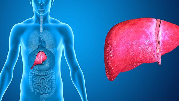 肝肾综合征有什么临床表现