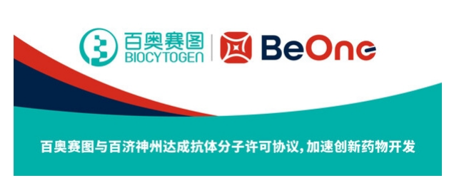 百奥赛图与百济神州达成抗体分子许可协议,加速创新药物开发