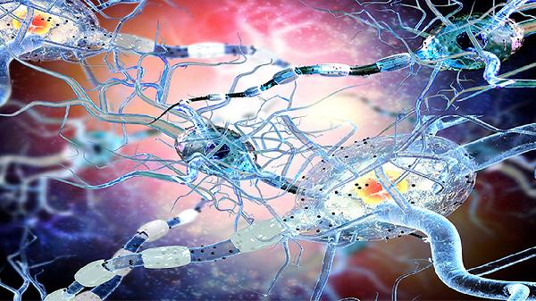 发烧了，如何判断自己是因为细菌，还是病毒？教你3招辨别好治疗