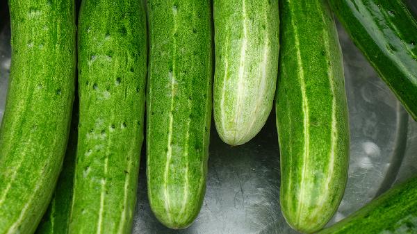 黄瓜是高血脂 “天然克星”?医生提醒:降血脂,夏季3种瓜可多吃