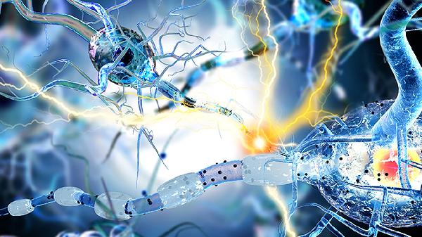 特发性震颤和共济失调区别有哪些