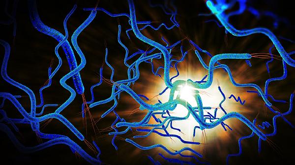 鳞状上皮细胞15是什么意思