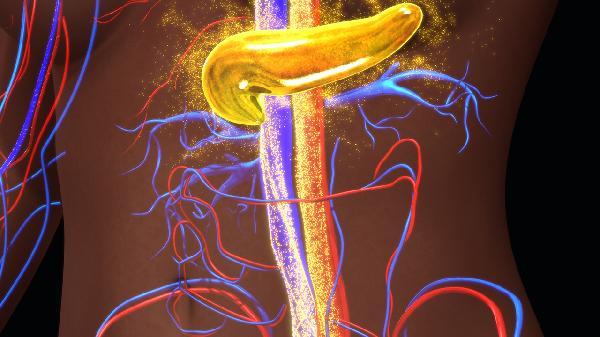 胰脏不好的症状有哪些 介绍胰脏不好4个症状揭晓