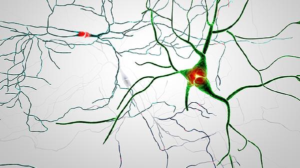 为什么眼压升高会损害视神经