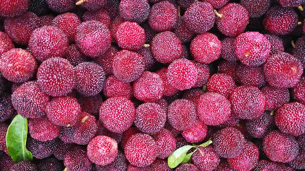 服用铁剂时禁忌哪些食物？