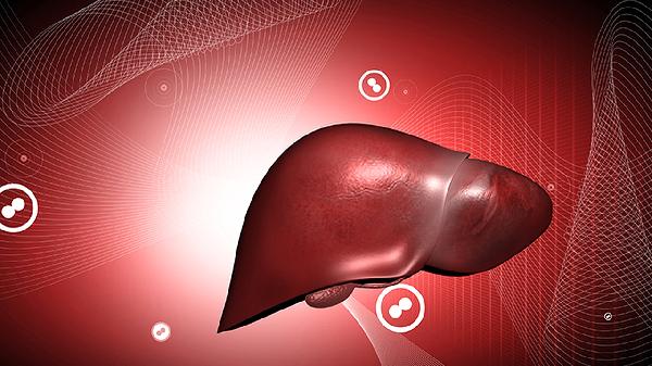 肝结节未见明显血流信号是什么意思