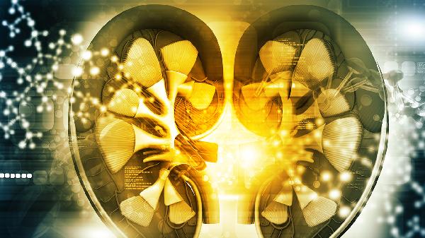 早期肾功能不全可以逆转吗