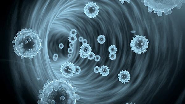 诺如病毒G型RNA结果是阳性怎么办