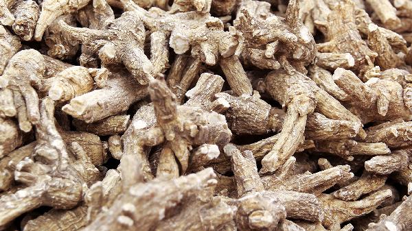 西洋参软枝和硬枝有什么区别