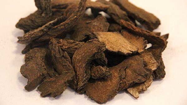 黄芪肉苁蓉枸杞泡茶喝的好处