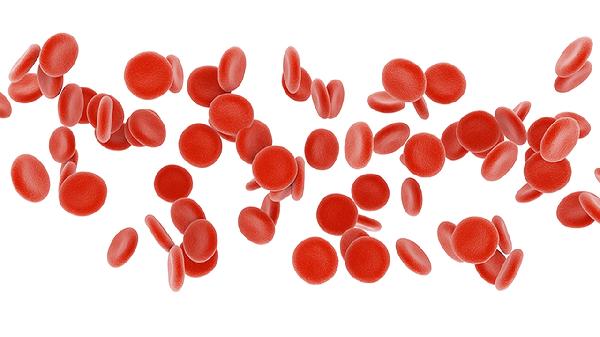 细胞鲜重和干重是什么意思