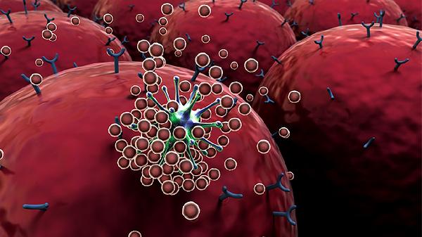 有核红细胞0.1是什么意思
