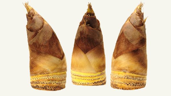 骨质增生能吃竹笋吗 骨质增生饮食没那么多讲究