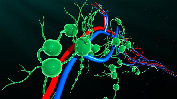 小细胞低色素性贫血怎么治疗