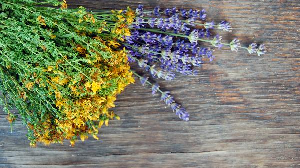 薰衣草精油怎么去疤更有效