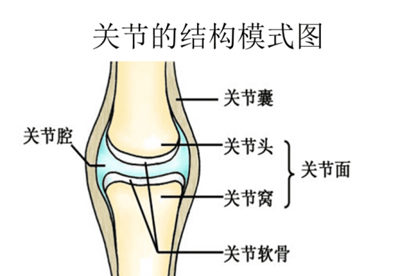 膝盖关节有时候疼有时候不疼是怎么回事