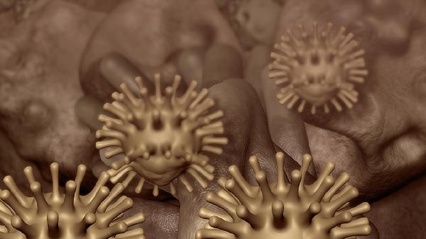 附件囊肿无回声有分隔是什么意思