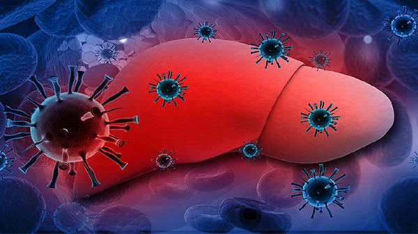 原发性肝细胞癌属于什么遗传病