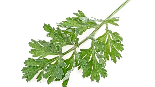 宿主抗移植物排斥反应有几种