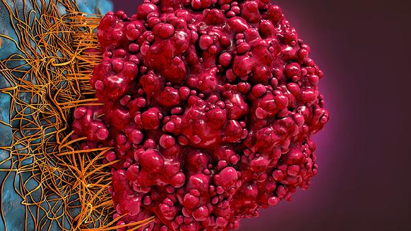 诺如病毒吃奥司他韦可以预防吗