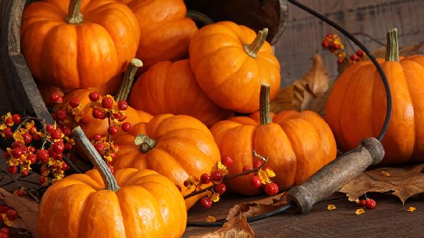 贲门失弛缓症术后饮食注意事项有哪些