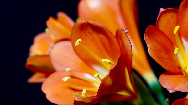 植物神经功能紊乱核磁能检查出来吗