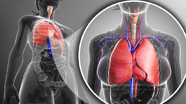 嗓子若现这1个“特征”，或是肺癌已“到访”！医生奉劝趁早就医