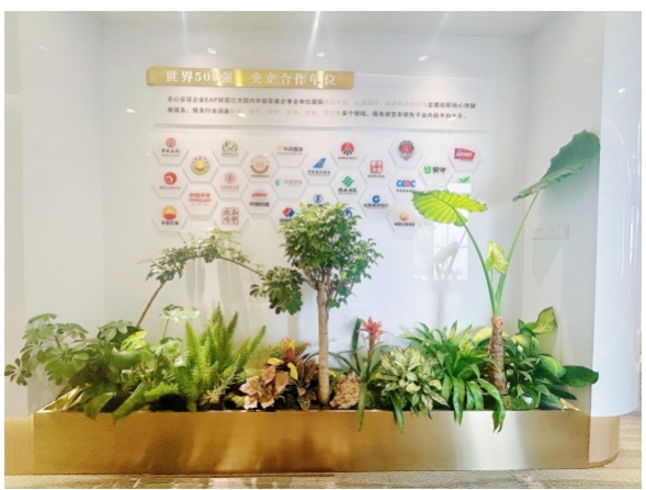 家长做不好“情绪管理”，对孩子的杀伤力有多大？西安圣心安诺心理为你揭开真相
