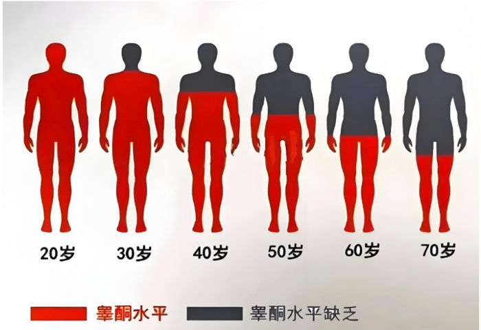 睾酮水平普遍不如父辈？LAIFE「乐维源」锁定雄性张力维稳赛道